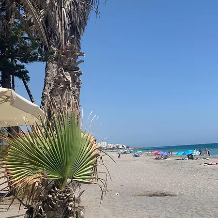 Excellent In In Local Area Apartmán *