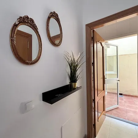 Apartment Excellent In In Local Area